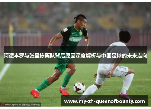 阿德本罗与张呈栋离队背后原因深度解析与中国足球的未来走向
